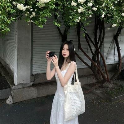 陆昭昭的刺客笔记